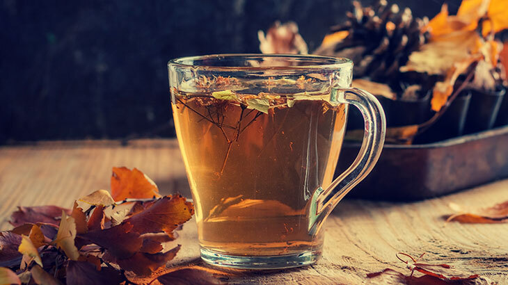 MELEZ KIŞ TARİFLERİ